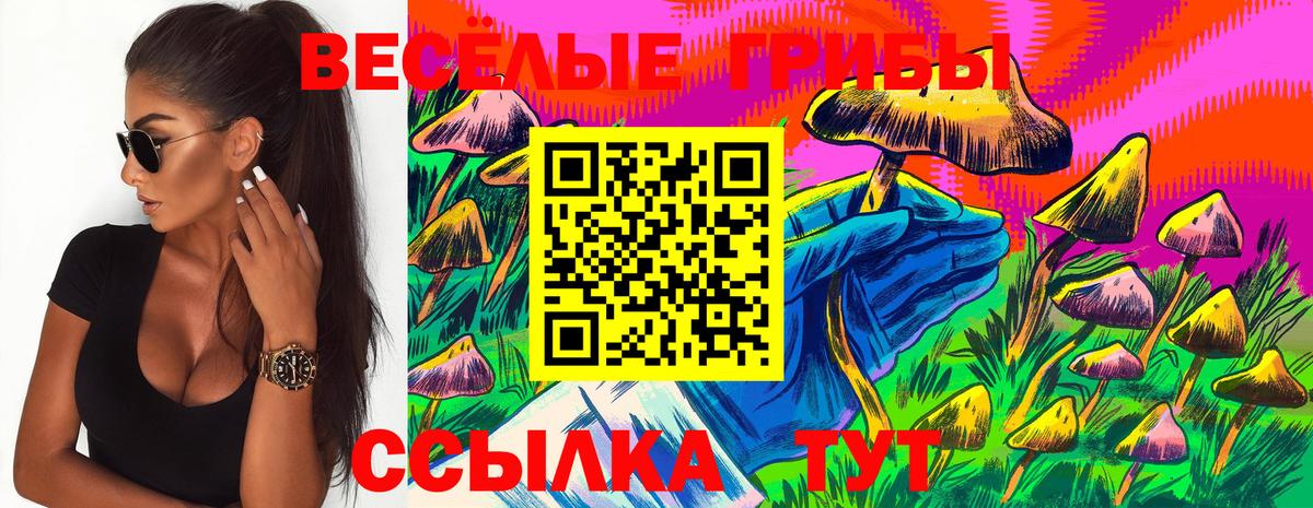 Краснотурьинск  Галлюциногенные грибы мухоморы  Псилоцибиновые грибы прущие грибы  Вход с VPN 