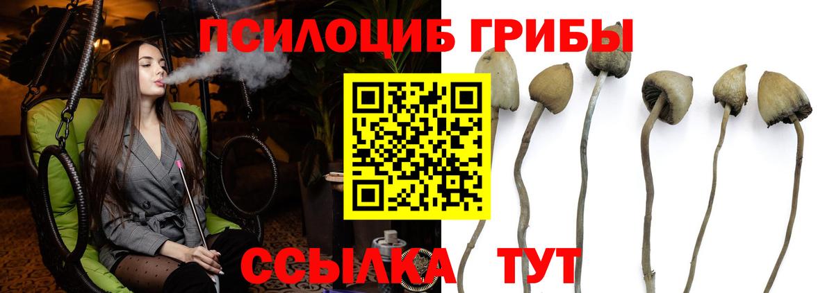 Галлюциногенные грибы Cubensis Краснотурьинск